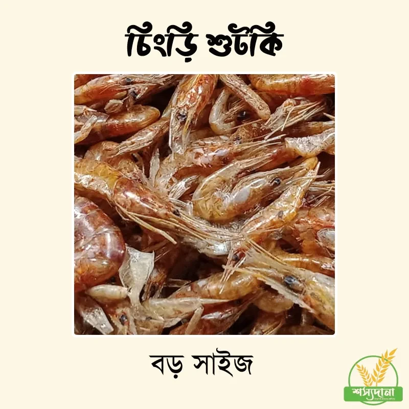 চিংড়ি শুটকি বড় || Shrimp Shutki (Big Size)