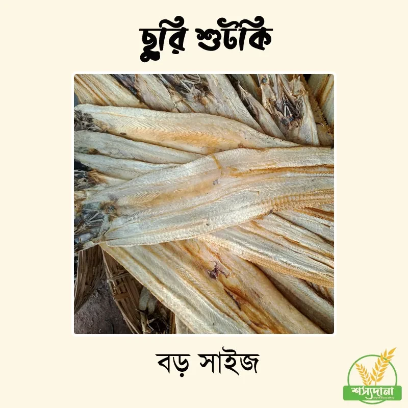 ছুরি শুটকি বড় || Knife Fish Shutki (Big Size)
